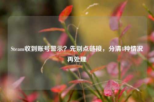 Steam收到账号警示?先别点链接,分清4种情况再处理