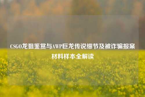 CSGO龙狙鉴赏与AWP巨龙传说细节及被诈骗报案材料样本全解读