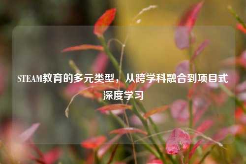 STEAM教育的多元类型,从跨学科融合到项目式深度学习