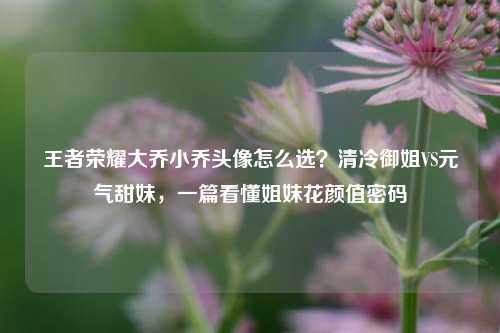 王者荣耀大乔小乔头像怎么选?清冷御姐VS元气甜妹,一篇看懂姐妹花颜值密码