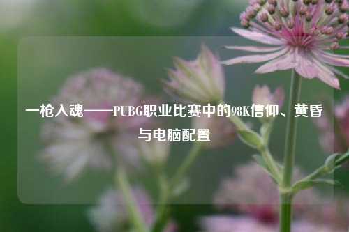 一枪入魂——PUBG职业比赛中的98K信仰、黄昏与电脑配置