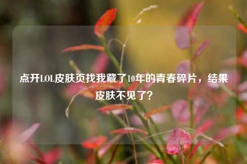 点开LOL皮肤页找我藏了10年的青春碎片,结果皮肤不见了?