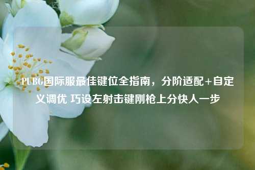 PUBG国际服最佳键位全指南，分阶适配+自定义调优 巧设左射击键刚枪上分快人一步