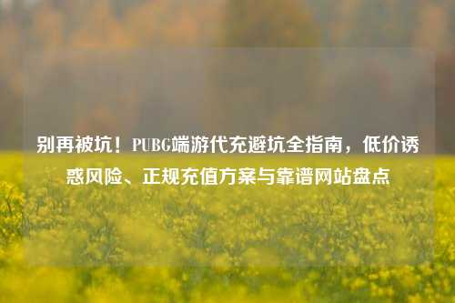 别再被坑!PUBG端游代充避坑全指南,低价诱惑风险、正规充值方案与靠谱网站盘点