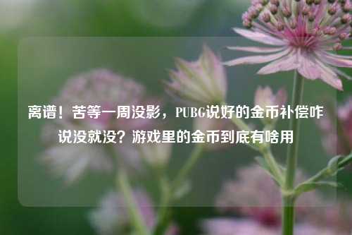 离谱！苦等一周没影，PUBG说好的金币补偿咋说没就没？游戏里的金币到底有啥用