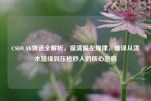 CSGO AK弹道全解析,摸清偏左规律,破译从泼水随缘到压枪秒人的核心密码