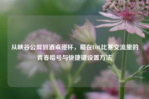 从峡谷公屏到酒桌碰杯,藏在LOL比赛交流里的青春暗号与快捷键设置方法