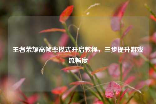 王者荣耀高帧率模式开启教程,三步提升游戏流畅度