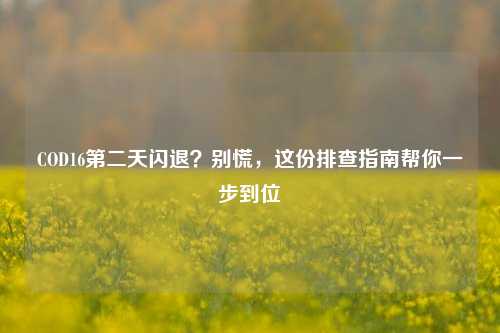 COD16第二天闪退?别慌,这份排查指南帮你一步到位