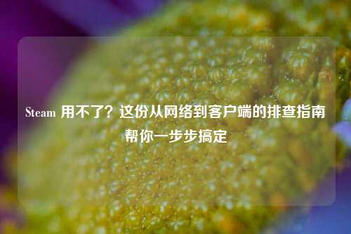 Steam 用不了?这份从网络到客户端的排查指南帮你一步步搞定