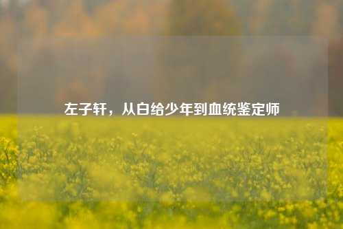 左子轩,从白给少年到血统鉴定师