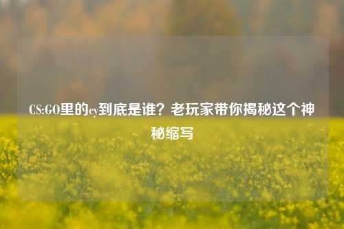 CS:GO里的cy到底是谁?老玩家带你揭秘这个神秘缩写