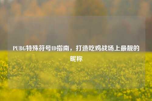 PUBG特殊符号ID指南,打造吃鸡战场上最靓的昵称