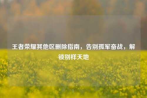 王者荣耀其他区删除指南，告别孤军奋战，解锁别样天地