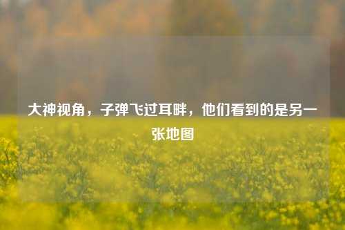 大神视角，子弹飞过耳畔，他们看到的是另一张地图