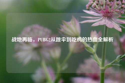 战地再临,PUBG2从跳伞到吃鸡的热血全解析