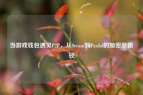 当游戏钱包遇见P2P，从Steam到Paxful的加密新路径