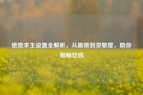 绝地求生设置全解析，从画质到灵敏度，助你顺畅吃鸡
