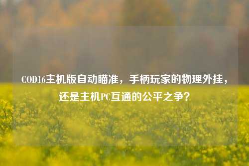 COD16主机版自动瞄准，手柄玩家的物理外挂，还是主机PC互通的公平之争？