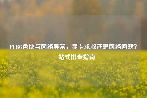 PUBG色块与网络异常,显卡求救还是网络问题?一站式排查指南