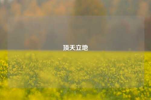 顶天立地