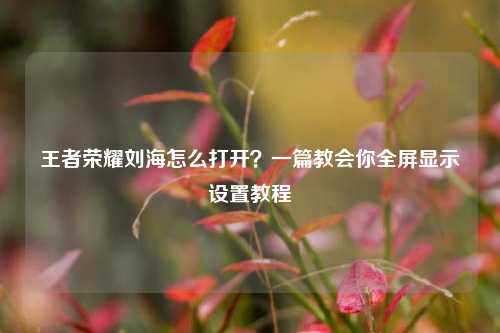 王者荣耀刘海怎么打开？一篇教会你全屏显示设置教程