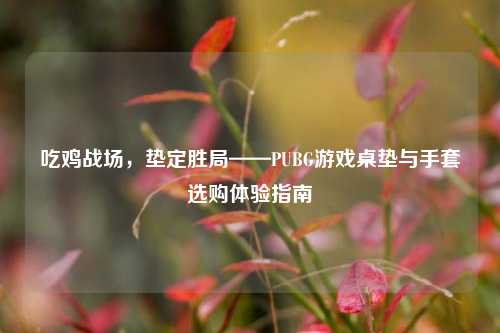 吃鸡战场,垫定胜局——PUBG游戏桌垫与手套选购体验指南