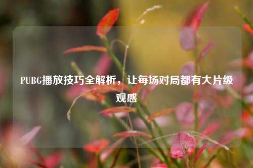 PUBG播放技巧全解析，让每场对局都有大片级观感
