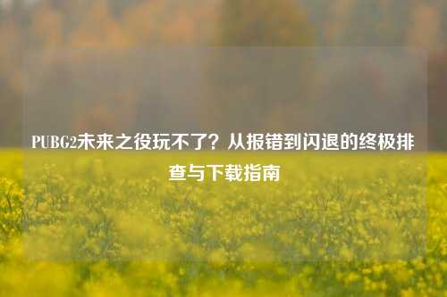 PUBG2未来之役玩不了？从报错到闪退的终极排查与下载指南