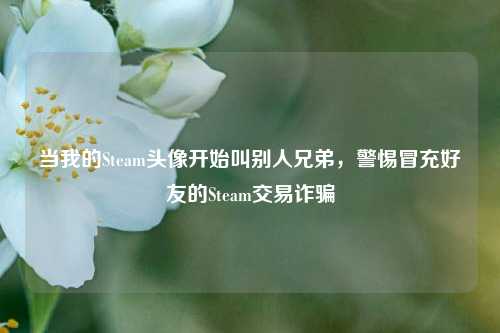 当我的Steam头像开始叫别人兄弟，警惕冒充好友的Steam交易诈骗