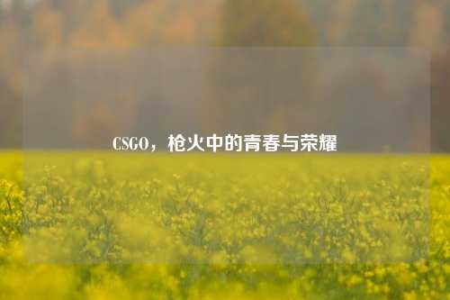 CSGO，枪火中的青春与荣耀