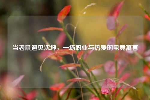 当老鼠遇见沈坤，一场职业与热爱的电竞寓言
