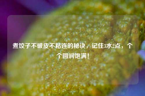 煮饺子不破皮不粘连的秘诀,记住3水2点,个个圆润饱满!