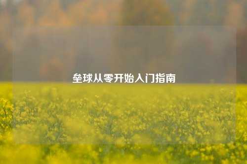 垒球从零开始入门指南