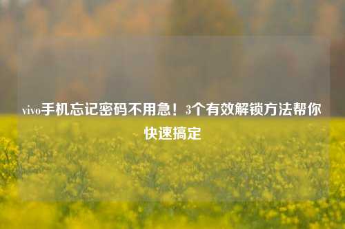 vivo手机忘记密码不用急！3个有效解锁方法帮你快速搞定