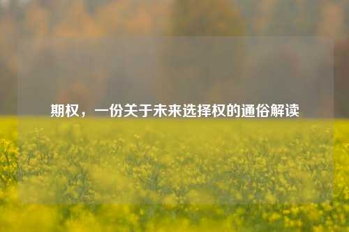 期权，一份关于未来选择权的通俗解读