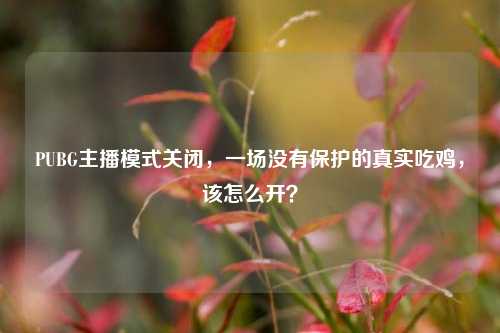 PUBG主播模式关闭,一场没有保护的真实吃鸡,该怎么开?