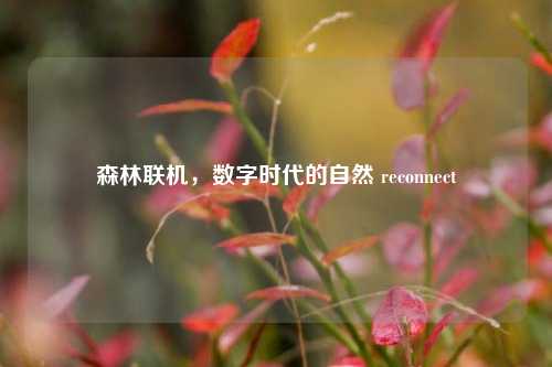 森林联机,数字时代的自然 reconnect
