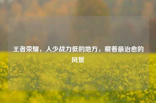 王者荣耀,人少战力低的地方,藏着最治愈的风景