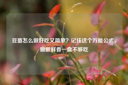 豆苗怎么做好吃又简单？记住这个万能公式，脆嫩鲜香一盘不够吃