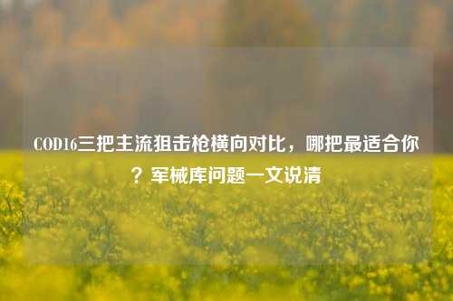 COD16三把主流狙击枪横向对比,哪把最适合你?军械库问题一文说清