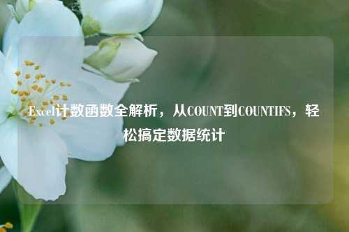 Excel计数函数全解析,从COUNT到COUNTIFS,轻松搞定数据统计