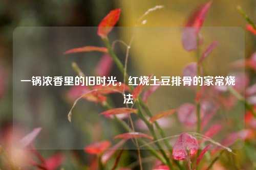 一锅浓香里的旧时光，红烧土豆排骨的家常烧法