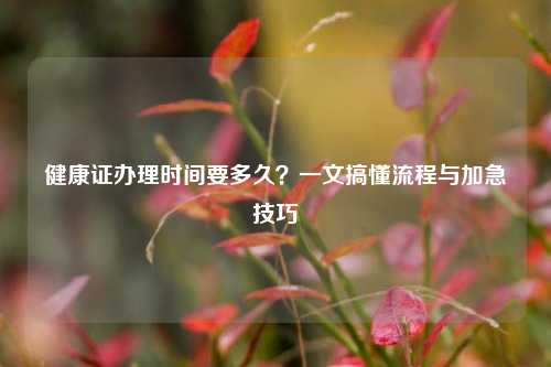 健康证办理时间要多久?一文搞懂流程与加急技巧