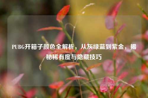 PUBG开箱子颜色全解析，从灰绿蓝到紫金，揭秘稀有度与隐藏技巧