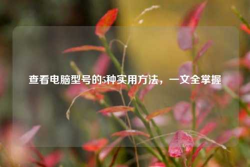 查看电脑型号的5种实用方法，一文全掌握