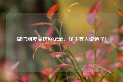 微信朋友圈访客记录，终于有人说透了！