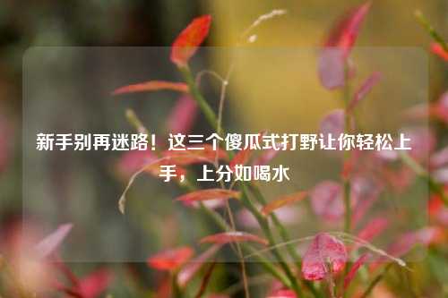 新手别再迷路!这三个傻瓜式打野让你轻松上手,上分如喝水