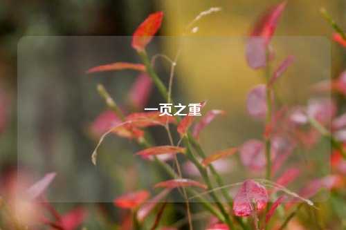 一页之重