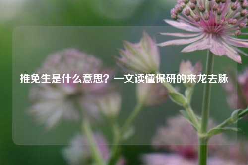 推免生是什么意思？一文读懂保研的来龙去脉